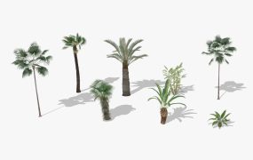 8 Palm Trees Ccollection