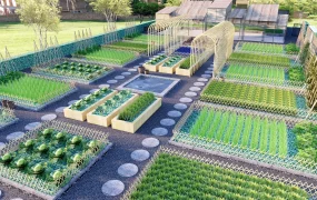 Community Vegetable Garden