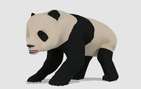 Giant Panda