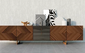 Modern Accent Storage Cabinet