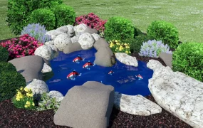Garden Fish Pond Design