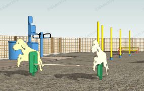 Dog Agility Park Equipment