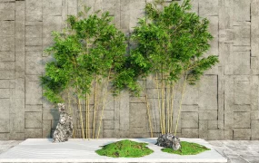 Bamboo Zen Garden