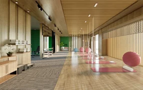 Organic Modern Yoga & Pilates Room