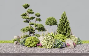 Landscape Shrubs Idea
