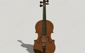 Acoustic Violin