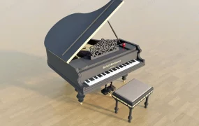 Rudolf Stelzhammer Piano