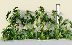 Philodendron Tropical Landscape