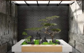 Indoor Zen Garden