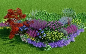 Landscape Border Plant Ideas