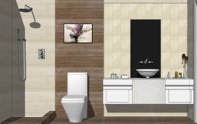 Small Bathroom with Shower Idea