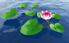 Lotus Flower Plant