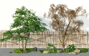 Fruit Trees Garden Design