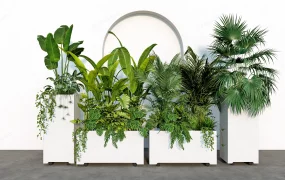 Large Outdoor Planters