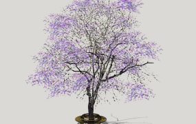 Round Bench Around Tree