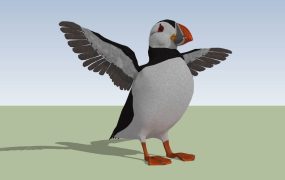 Atlantic Puffin