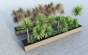 Long Narrow Raised Beds