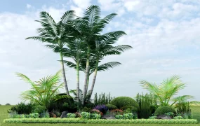 Tropical Garden Bed Ideas