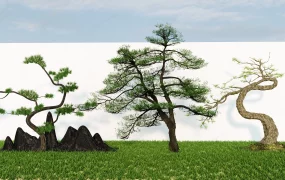 Modern Chinese Zen Ornamental Pine Trees And Rockery Collection SketchUp 3D Model