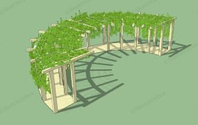 Curved Pergola Covered In Vines