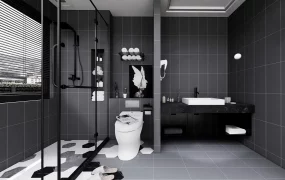 Dark Color Bathroom Idea