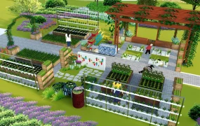 Urban Vegetable Garden
