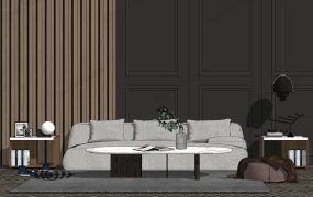 Living Rooms With Accent Wall