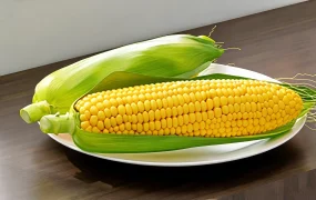 Fresh Corn