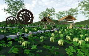 Watermelon Farm