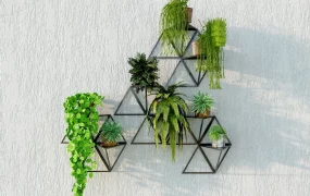 Wall Mount Plant Holder