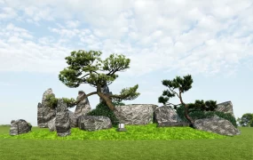 Landscape Stone Garden