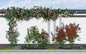 Rose Wall Ideas