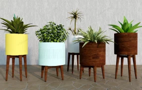 Indoor Plants With Stand