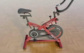 Stationary Exercise Bicycle