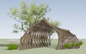 Walkway Pergola Idea