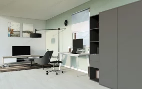 Home Office With Tv Stand