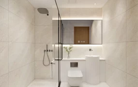 Guest Bathroom Design