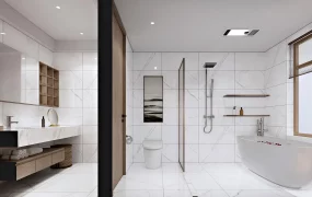 Split Bathroom Design