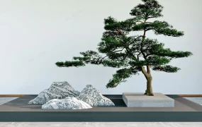 Stone Pine Tree Zen Garden