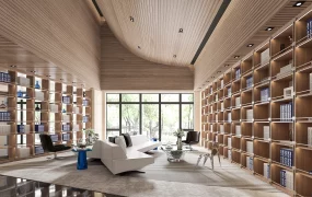 Luxury Modern Reading Room