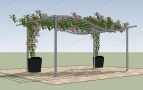 Climbing Rose Pergola
