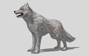 Eurasian Wolf