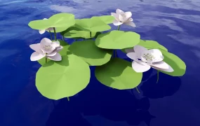 Light Pink Water Lily