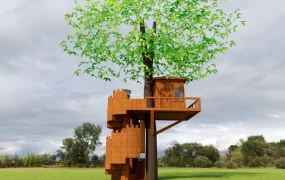 Spiral Staircase Tree House