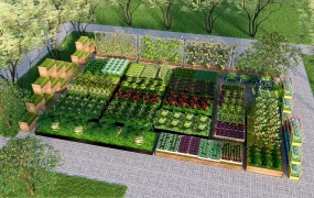 Vegetable Garden Landscape