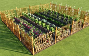 Vegetable Garden With Bamboo Fence