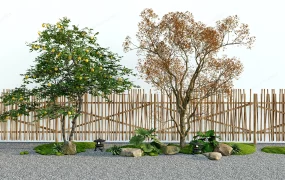 Backyard Landscaping Trees