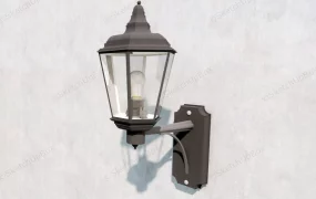 Wrought Iron Outdoor Sconce