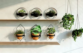 Indoor Wall Planter Ideas