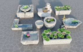 Mini Pond With Aquatic Plants